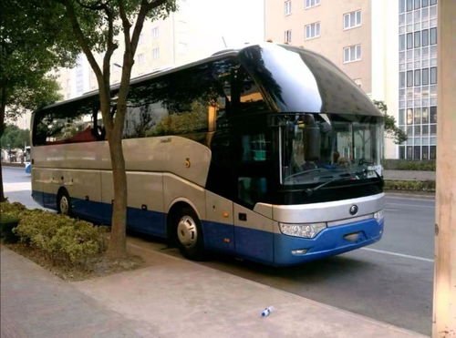 晉城租車指南 如何在晉城列表網(wǎng)上輕松租到心儀的車輛